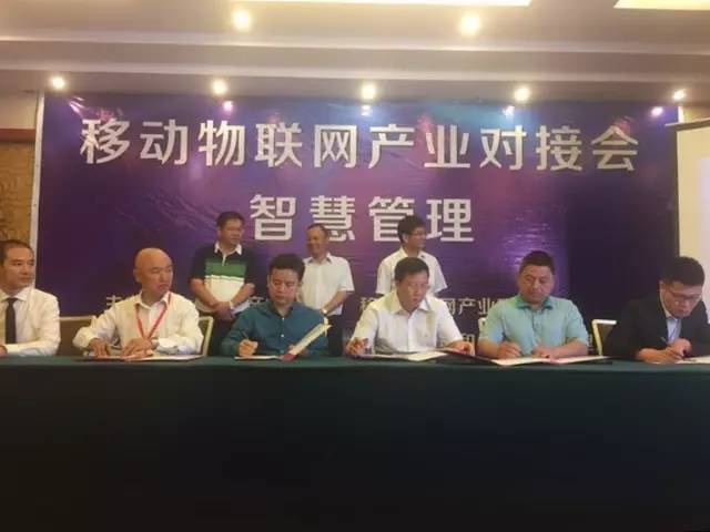 G7AИI麞ǻʾ