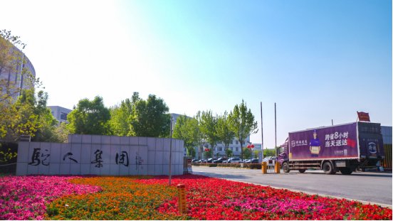 ӲЇơ֡l(xing)Խ麮