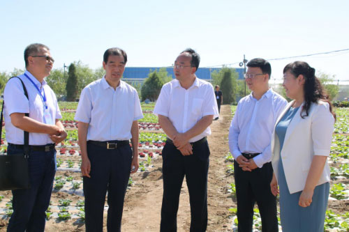寧夏固原原州區(qū)冷涼蔬菜節(jié)盛大啟幕 寧夏固原原州區(qū)冷涼蔬菜節(jié)盛大啟幕